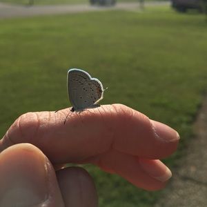 Meet your Posher, Katherine